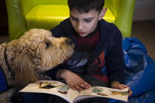 Aurora Day School and Gabriel's Angels